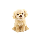 Animals Of The World Pelüş 28cm Floppy Golden Retriever